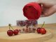 Manual Cherry and Olive Pitter with Container