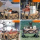 Qunature salokāms, transporta, dārza ratiņš, lieli riteņi ar slēdzi - brūns | Foldable, Transport, Garden...
