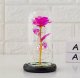 Mūžīgā roze LED stikla kupolā, rozā krāsā | Eternal Rose in Glass