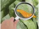 Classic Handheld Magnifying Glass for Reading 95mm 3x
