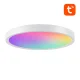 Smart Ceiling Lamp Gosund LB12 30cm WiFi/Bluetooth RGBCW with Remote Control