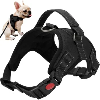 Bezspiediena Suņu Siksna, S izmērs | Pressure-Free Dog Harness