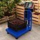 Elektroniskie platformas svari ar atzveltni, 100 kg, LCD, zili