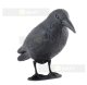 Realistic Raven Bird Scarer Decoy for Gardens and Balconies