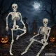 Hanging Human Skeleton Halloween Decoration 40 x 10 cm, White