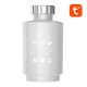Умный Bluetooth термостат с клапаном Gosund STR1