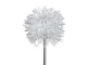 LED solārās dārza lampas Pienenes 70cm, silti balta gaisma, 2 gab.