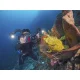 Подводный видеосвет Sealife Sea Dragon 5000+ Color Boost
