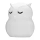Redleaf Silly Owl silikona LED naktslampiņa bērniem, RGB, 700 mAh