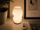 2-in-1 LED RGB Table Lamp and Vase with Remote, Ecru