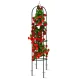 Dārza pergola Plonos kolonna 200 cm melna