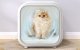 Homerunpet PD50 Intelligent Hair Dryer for Pets Cats Dogs, white