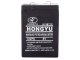 Maintenance-Free 6V 4.5Ah Rechargeable Gel Battery for Scales, Alarms, Toys