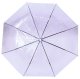 Caurspīdīgs violets lietussargs | Transparent purple umbrella