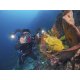 Sealife Sea Dragon 5000+ Color Boost Video Light Head