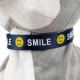 Интерактивная собака SMILE Серая Хаски
