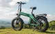 Saliekams elektrovelosipēds ENGWE EP-2 3.0 Boost 250W 20\", zaļš