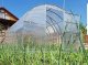 Теплица Кlasika 36 (3X12M) С Фундаментом И Покрытием Из Поликарбоната...
