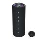 Tronsmart Mirtune C2 24W portatīvais Bluetooth skaļrunis - melns | Portable Speaker Black