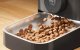 Smart Pet Food Dispenser Oneisall PF08 5L WiFi