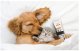 Trimmer Pet Hair Clipper Oneisall P2 (gold)