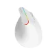 Bezvadu vertikālā pele Delux M618C 2.4G 1600DPI RGB (balta) | Wireless Vertical Mouse (white)