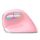 Bezvadu vertikālā pele Delux M618Mini DB BT+2.4G 2400DPI (rozā) | Wireless Vertical Mouse (pink)