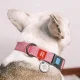Waudog Классический ошейник для собак с QR-кодом размер M, Розовый | Dog...