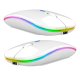 Rechargeable Wireless Mouse with RGB Lighting, White