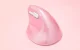 Bezvadu vertikālā pele Delux M618Mini DB BT+2.4G 2400DPI (rozā) | Wireless Vertical Mouse (pink)