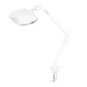 Elegante 6030 Kosmetoloģiskā lupa-lampa ar galda stiprinājumu 60 LED