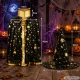 Wizard Costume with Cape and Hat for Halloween