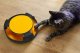 Purlov Cat Toy - Circle with Mouse and Scratching Pad