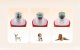 Electric Pet Nail Grinder Rojeco RMJQXF-05 2000mAh