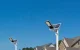 Saules lampa Superfire FF5-D, 486 W, 1400 lm, 20 000 mAh ar pulti