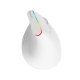 Беспроводная вертикальная мышь Delux M618C 2.4G 1600DPI RGB (белая)