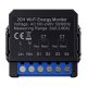 Smart Bi-Directional Energy Meter Avatto WPM16-2 80A WiFi