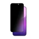 Защитное стекло AmazingThing Radix Privacy для iPhone 17 Pro Max