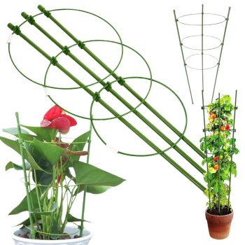 Apaļš gredzenveida balsts augiem un ziediem, 60 cm, zaļš