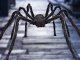 Halloween Spider XL, Giant Tarantula Decoration, Realistic Hairy Design, Adjustable Legs