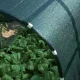 JAMAICA austs ēnošanas tīkls 90 g/m², 2 x 10 m, zaļš