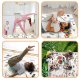 Nukido NK-342 Educational Double-sided Kids Roll-up Foam Mat