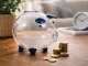 Transparent Glass Piggy Bank for Coins and Banknotes, 11x11x11 cm