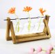 Hydroponic Vase Plant Propagation Station with Wooden Stand