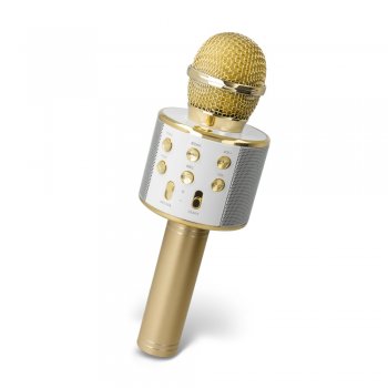 Forever bezvadu bērnu mikrofons ar iebūvētu skaļruni BMS-300, Zelta | Karaoke microphone portable wireless speaker