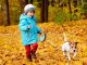 Automatic retractable dog leash with tape and lock, 5m, up to 15kg
