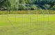 Пленочная теплица садовый парник 3x2x2 м 6 м² металлический каркас