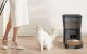 Rojeco RWSQ-02 2L Automatic Pet Feeder