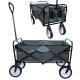 Carruzzo Folding Garden Wagon Cart, 70 kg Capacity