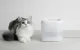Питьевой фонтан для кошек и собак PetKit Eversweet SOLO SE, белый